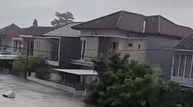 Photo | cut | Google