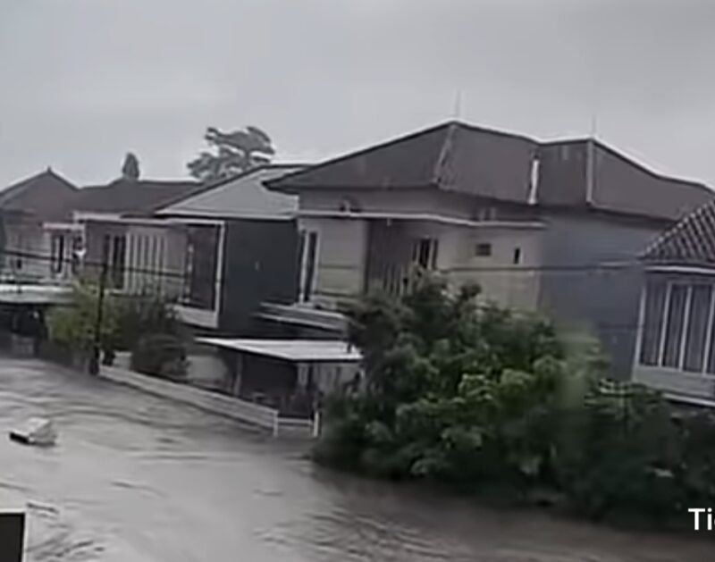 Photo | cut | Google