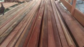 Kayu Hutan di gudang pemilik izin PBPHH Gayo Lues, Minggu (12/10/2025)