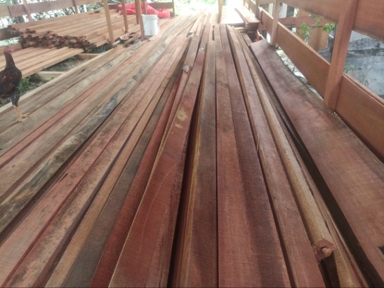 Kayu Hutan di gudang pemilik izin PBPHH Gayo Lues, Minggu (12/10/2025)