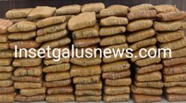 Ratusan Kilogram barang bukti Ganja siap edar, Jumat (24/10/2025) | doc | insetgalus |