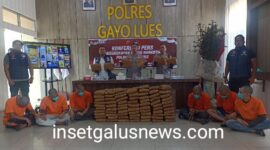 Kapolres Gayo Lues AKBP Hyrowo SIK (tengah) Wakpolres Kompol Edy (kiri) Kasatresnarkoba Iptu Bambang Pelis (kanan), Jumat (24/10/2025) doc | insetgalusnews |
