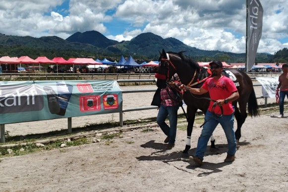 Gambar dokumen Pordasi Kabupaten Gayo Lues, Senin (21/10/2025)