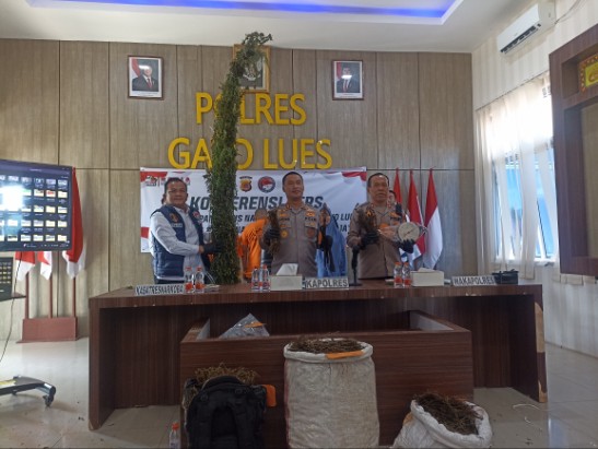 Kapolres Gayo Lues AKBP Hyrowo SIK didampingi Wakapolres Kompol Edi Yaksa dan Kasatnarkoba Iptu Bambang Pelis pada konfrensi pers, Senin (3/11/2025)