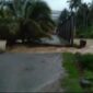 Jembatan Rangka Baja Tripe Jaya putus dihantam aliran sungai |doc|camtri|
