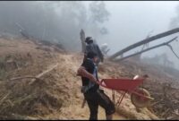 Penanganan Darurat Ise - Ise, badan jalan longsor dipenuhi material pasir, batu dan kayu