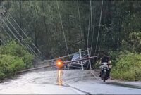 Tiang listrik tumbang di Blang Sre, Selasa (31/3)