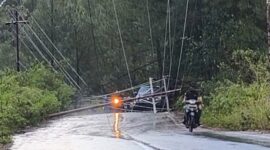 Tiang listrik tumbang di Blang Sre, Selasa (31/3)