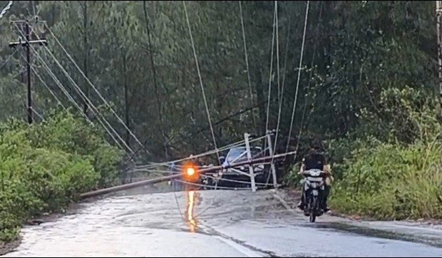 Tiang listrik tumbang di Blang Sre, Selasa (31/3)