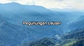 Kawasan Taman Nasional Gunung Louser, Keudah-Blang Jerango | fhoto cut google |