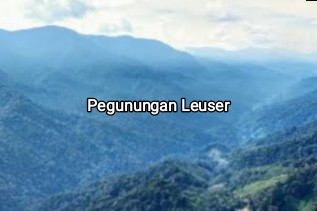 Kawasan Taman Nasional Gunung Louser, Keudah-Blang Jerango | fhoto cut google |