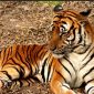 Gambar hanya ilustrasi |sumber Google|