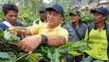 Edwar Canto di areal perkebunan kopi warga |doc|ist|