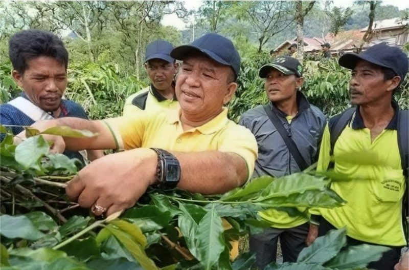 Edwar Canto di areal perkebunan kopi warga |doc|ist|