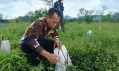 berita-pilihan-foto