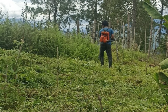 Para petani berharap Pemkab Gayo Lues melalui instansi terkait segera memberikan penjelasan mengenai perkembangan pendataan, hasil verifikasi CPCL serta jadwal pasti penyaluran bibit