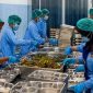 Dapur SPPG Blang Jerango yang dikelola Yayasan Bustanul Quran. SPPG tersebut telah menerapkan standar operasional prosedur, didukung peralatan pengolahan makanan serta tenaga yang menangani proses produksi.