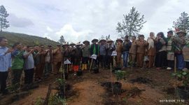 Pemerintah Kabupaten Gayo Lues meluncurkan penanaman perdana kopi dalam program Gerakan Restorasi Ekonomi Kerakyatan di kawasan Rerampen, Desa Kong Paluh, Kecamatan Kutepanyang, Selasa (20/10/2026).