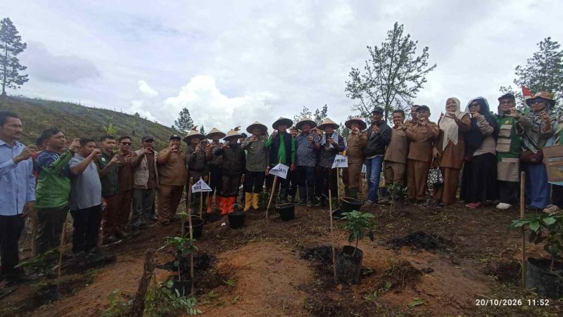 Pemerintah Kabupaten Gayo Lues meluncurkan penanaman perdana kopi dalam program Gerakan Restorasi Ekonomi Kerakyatan di kawasan Rerampen, Desa Kong Paluh, Kecamatan Kutepanyang, Selasa (20/10/2026).