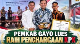 Kampung Kota Rikit Gaib, Kecamatan Rikit Gaib, Kabupaten Gayo Lues, meraih penghargaan Desa Bebas Korupsi dari Komisi Pemberantasan Korupsi (KPK) RI dengan skor 90,5 dalam kategori Sangat Memuaskan.